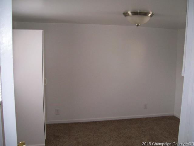 210 E Main, Ogden, IL 61859 photo 11