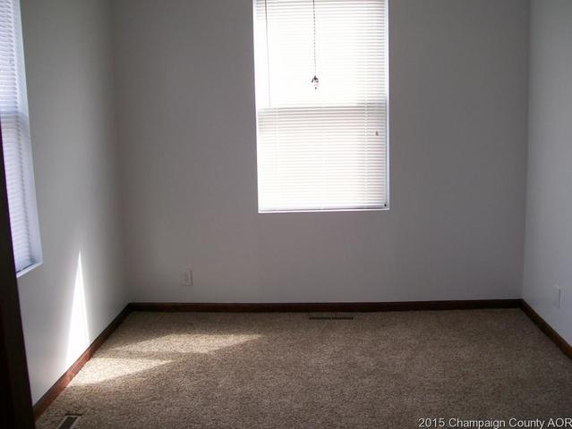 210 E Main, Ogden, IL 61859 photo 3