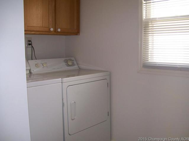 210 E Main, Ogden, IL 61859 photo 14