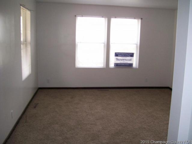 210 E Main, Ogden, IL 61859 photo 5