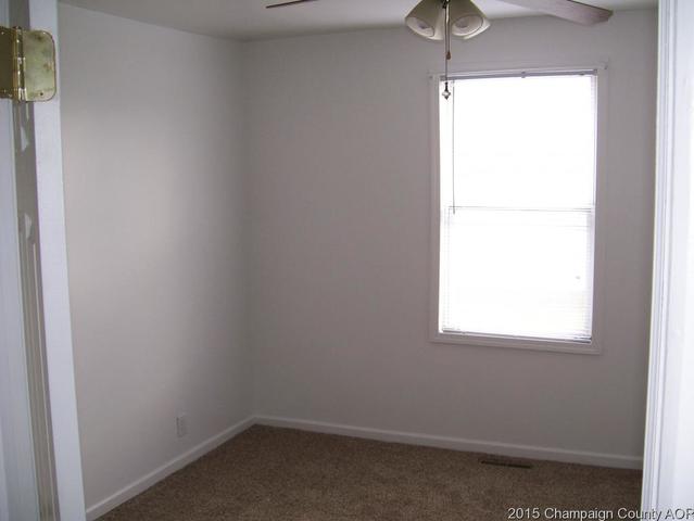 210 E Main, Ogden, IL 61859 photo 7