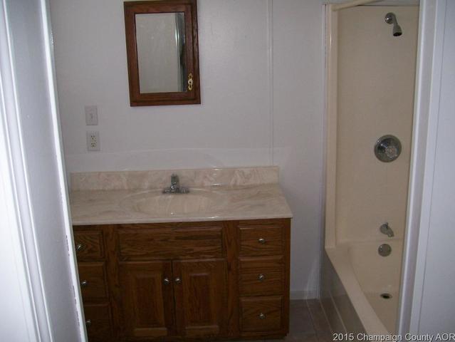 210 E Main, Ogden, IL 61859 photo 9