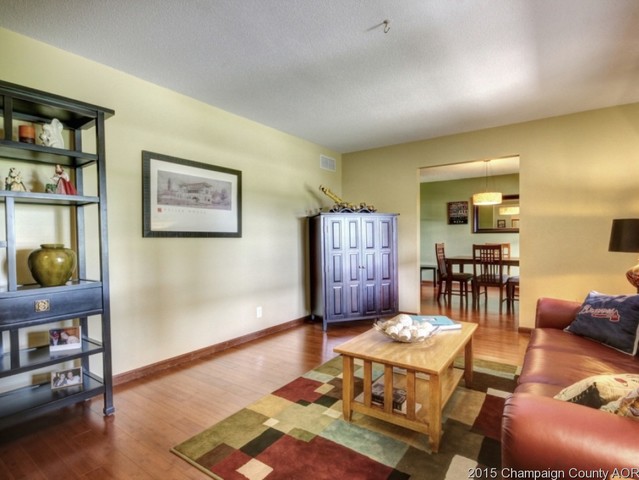 411 S Bryan St, Sidney, IL 61877 photo 11