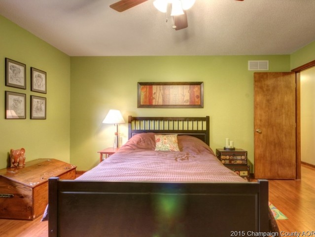 411 S Bryan St, Sidney, IL 61877 photo 16