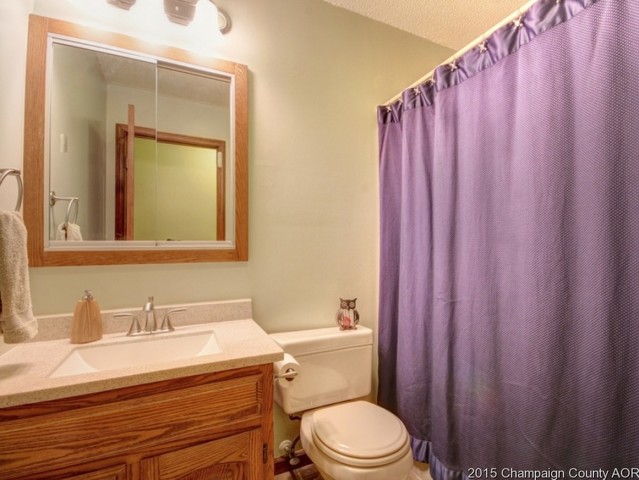 411 S Bryan St, Sidney, IL 61877 photo 22