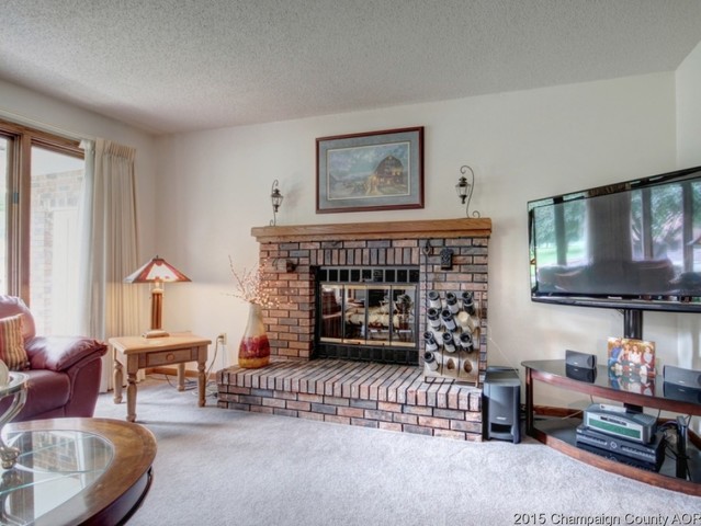 16 Dunlap Woods, Sidney, IL 61877 photo 11