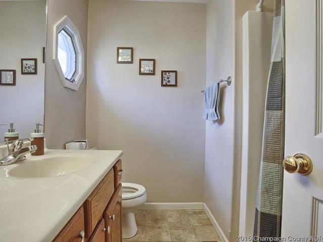 113 Iroquois Trl, Loda, IL 60948 photo 14