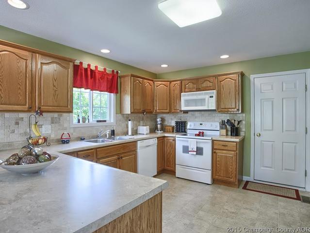 113 Iroquois Trl, Loda, IL 60948 photo 10