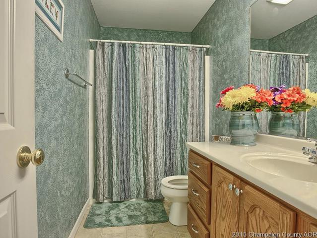 113 Iroquois Trl, Loda, IL 60948 photo 11