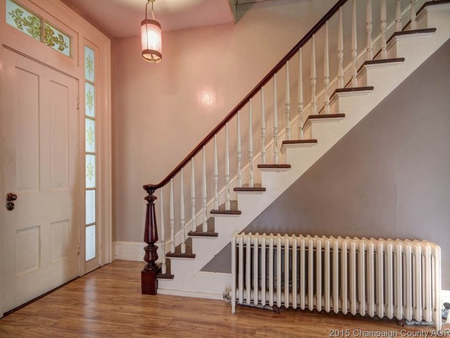 248 S Macon St, Bement, IL 61813 photo 4