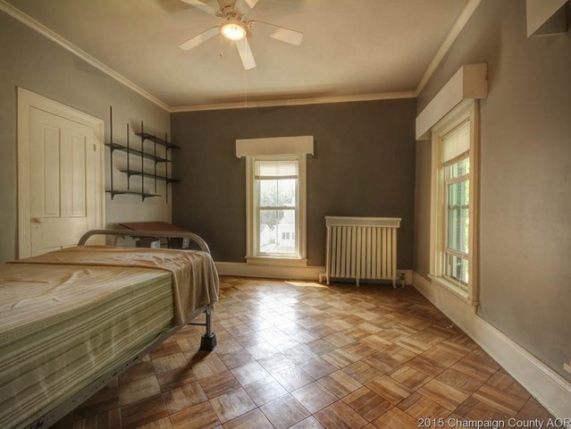 248 S Macon St, Bement, IL 61813 photo 15