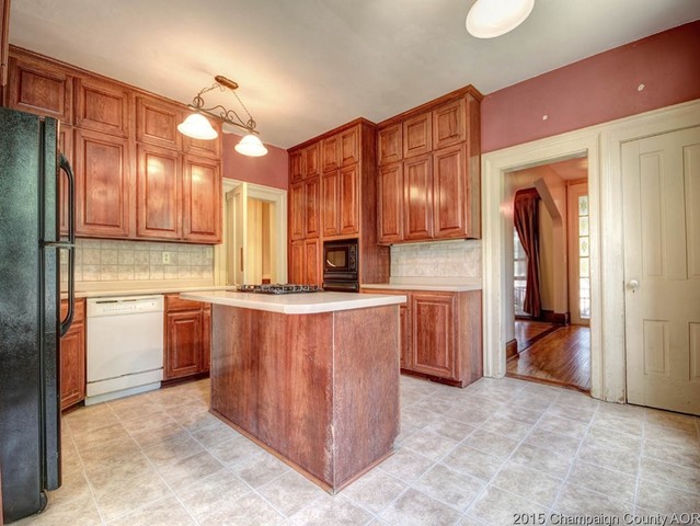 248 S Macon St, Bement, IL 61813 photo 9