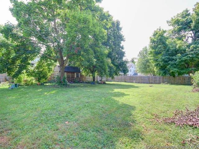 248 S Macon St, Bement, IL 61813 photo 22