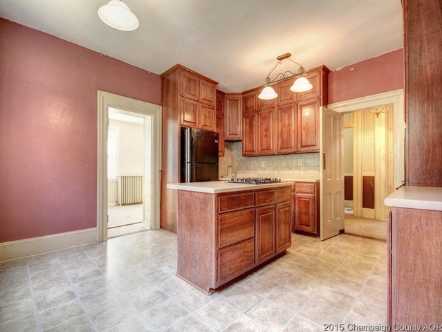 248 S Macon St, Bement, IL 61813 photo 8