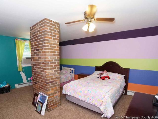 207 E 1st St, Homer, IL 61849 photo 17