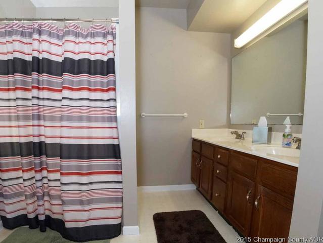 207 E 1st St, Homer, IL 61849 photo 13