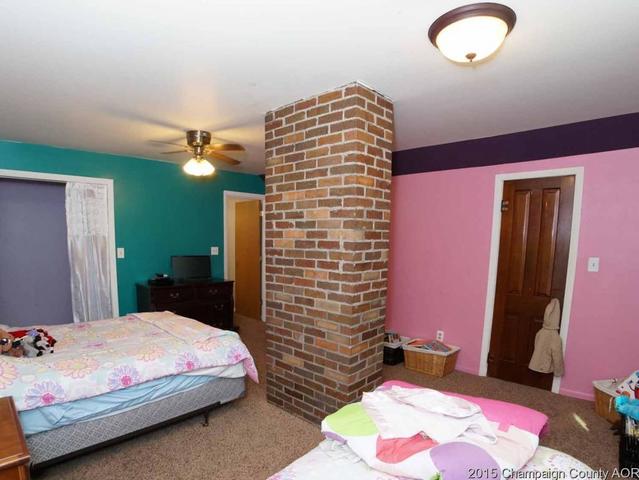 207 E 1st St, Homer, IL 61849 photo 19