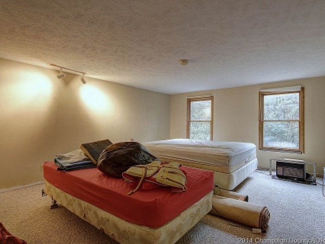 17185 Parnell Rd, Dewitt, IL 61735 photo 19