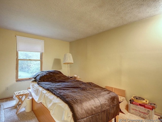 17185 Parnell Rd, Dewitt, IL 61735 photo 20