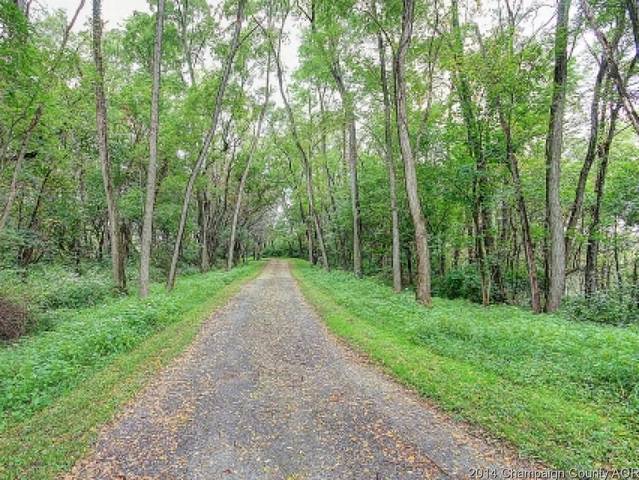 17185 Parnell Rd, Dewitt, IL 61735 photo 24