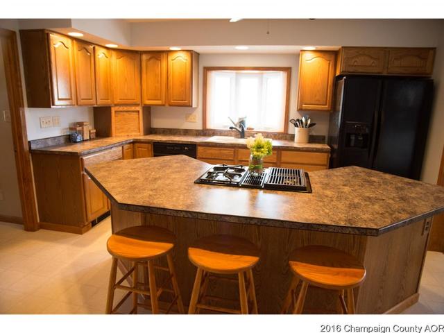 511 E Grove Ave, Rantoul, IL 61866 photo 3