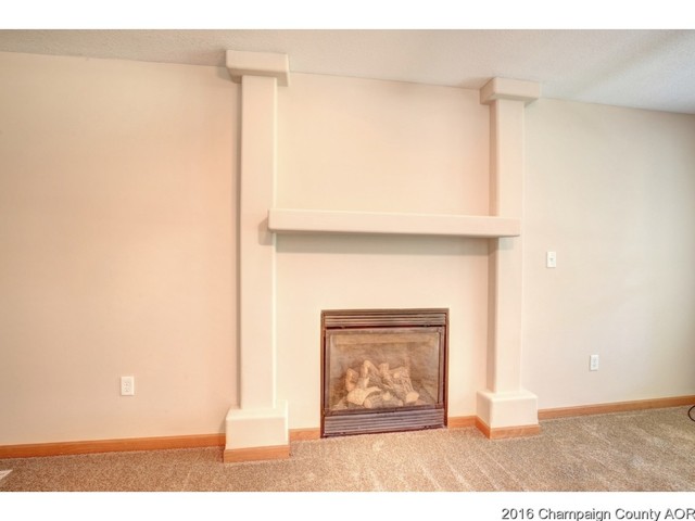 104 E Tyler, Philo, IL 61864 photo 6