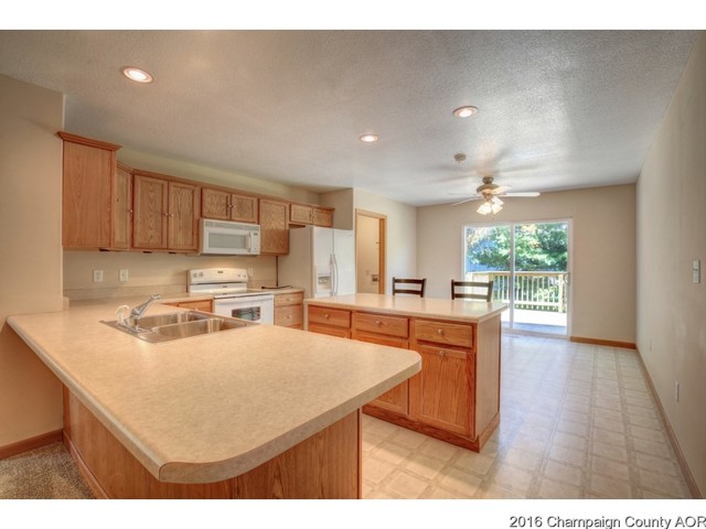 104 E Tyler, Philo, IL 61864 photo 11