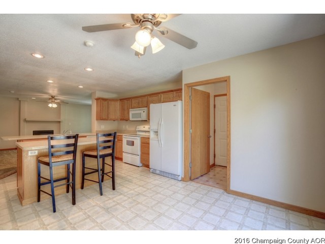 104 E Tyler, Philo, IL 61864 photo 8