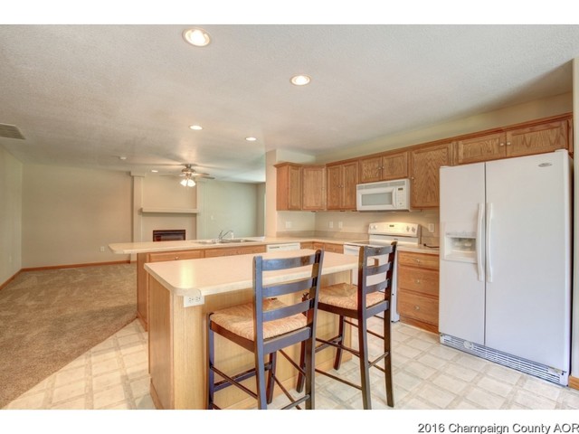 104 E Tyler, Philo, IL 61864 photo 10
