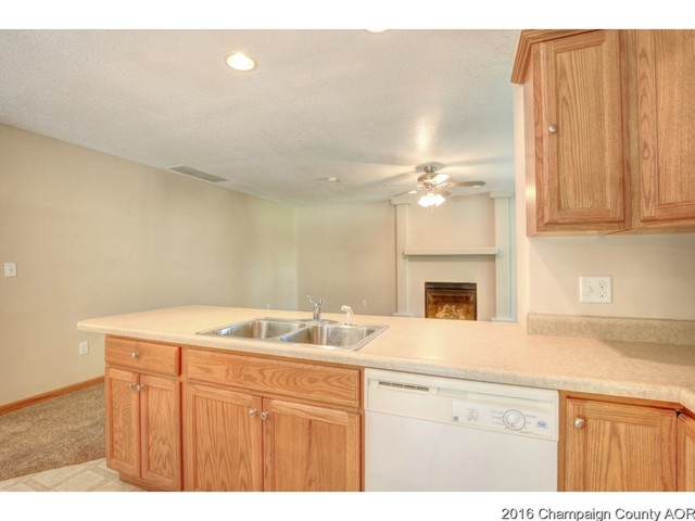 104 E Tyler, Philo, IL 61864 photo 9