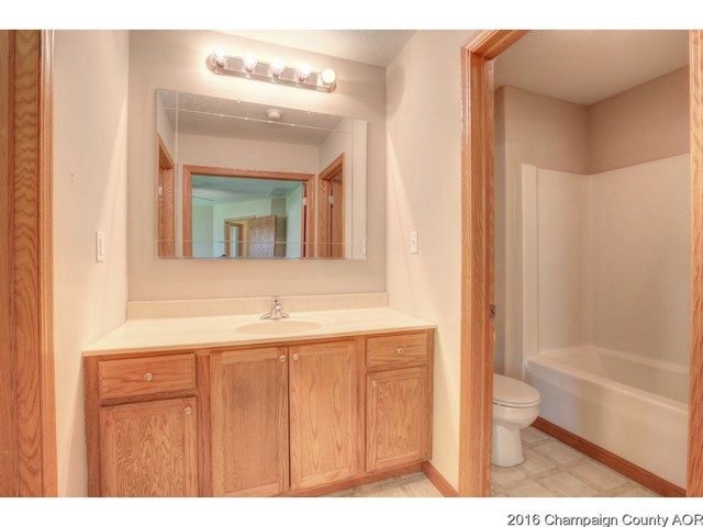 104 E Tyler, Philo, IL 61864 photo 19