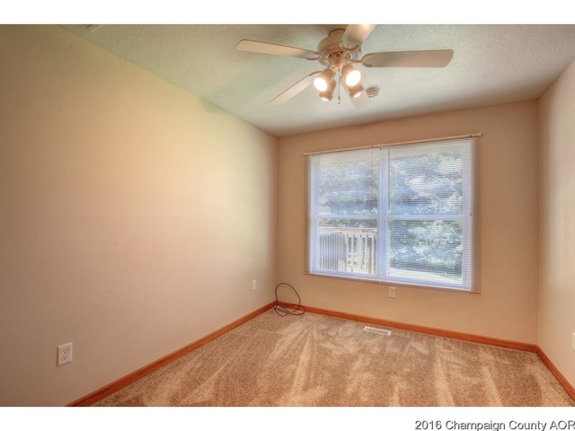 104 E Tyler, Philo, IL 61864 photo 13