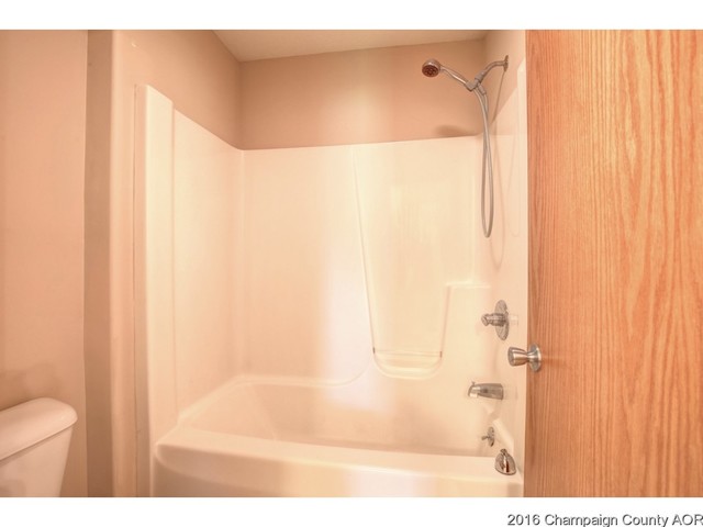 104 E Tyler, Philo, IL 61864 photo 20