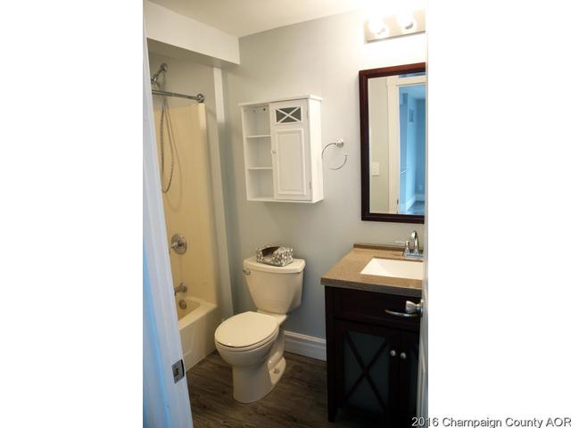 201 S Harrison St, Philo, IL 61864 photo 10