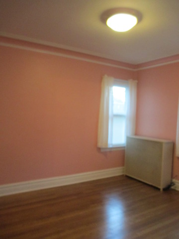 910 William St, River Forest, IL 60305 photo 10