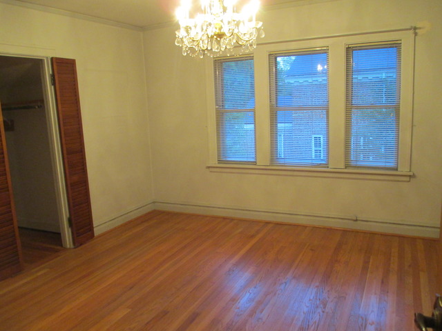 910 William St, River Forest, IL 60305 photo 15