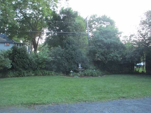 910 William St, River Forest, IL 60305 photo 25
