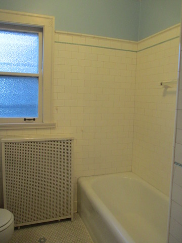 910 William St, River Forest, IL 60305 photo 11
