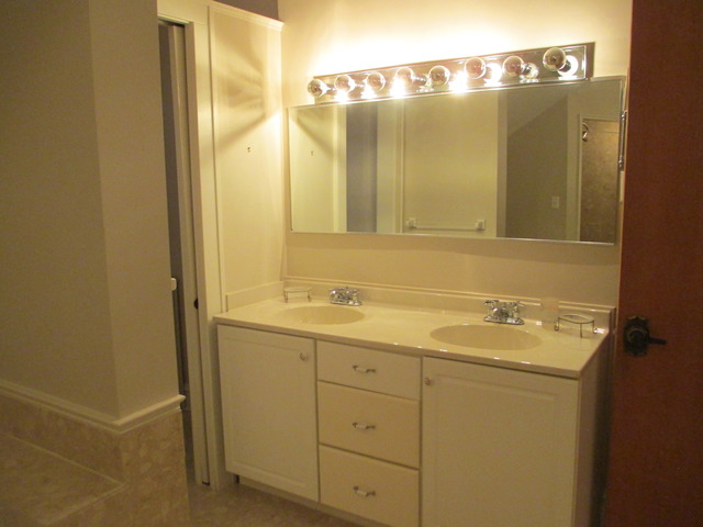 910 William St, River Forest, IL 60305 photo 19