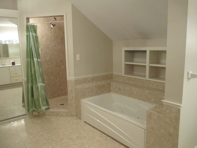 910 William St, River Forest, IL 60305 photo 18