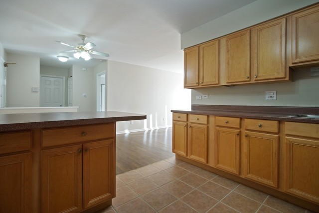 8924 Kenneth Dr #2E, Des Plaines, IL 60016 photo 5