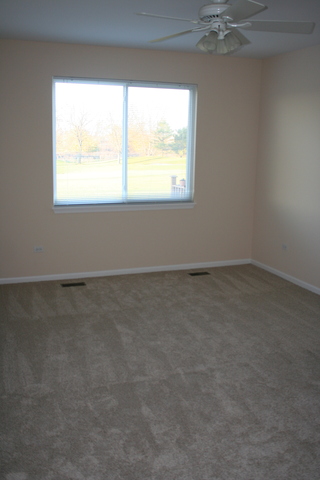 21332 W Douglas Ln, Plainfield, IL 60544 photo 9