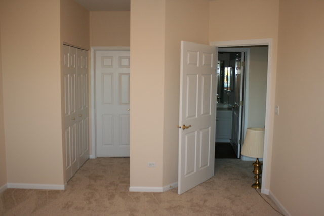 21332 W Douglas Ln, Plainfield, IL 60544 photo 10