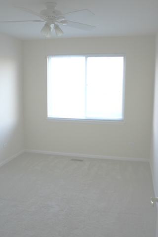 21332 W Douglas Ln, Plainfield, IL 60544 photo 7
