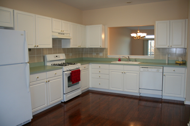 21332 W Douglas Ln, Plainfield, IL 60544 photo 4