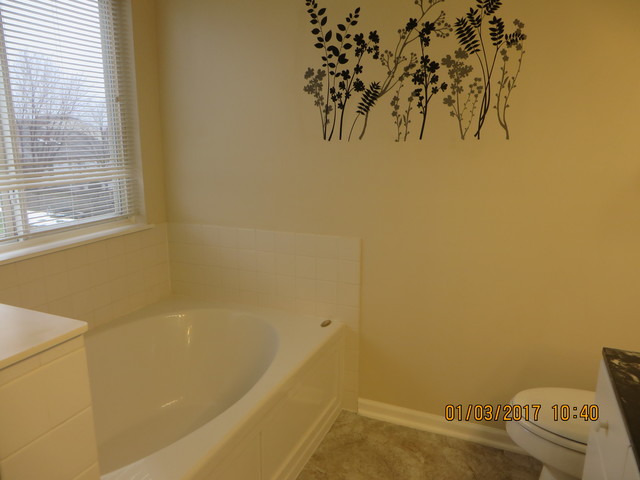 28618 Wagon Trail Rd, Lakemoor, IL 60051 photo 20