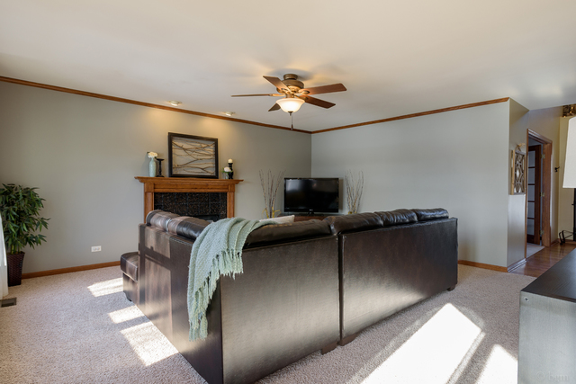 24055 Simo Dr, Plainfield, IL 60586 photo 11