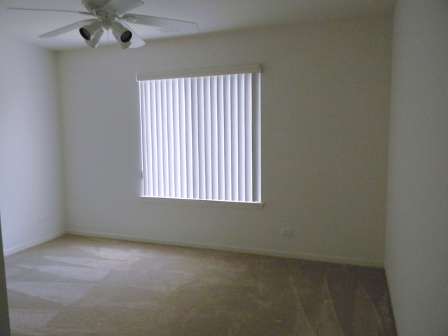 224 Ariana Dr, Bartlett, IL 60103 photo 18