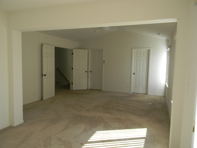 224 Ariana Dr, Bartlett, IL 60103 photo 11