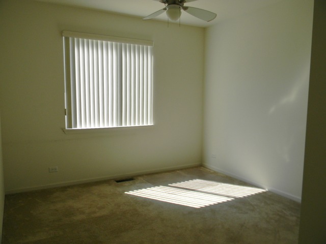 224 Ariana Dr, Bartlett, IL 60103 photo 8